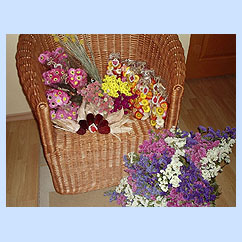 Klikn�te pro zv�t�en�